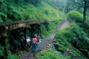 晴懷古步道包車旅遊