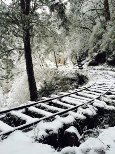 宜蘭太平山包車旅遊,太平山包車,宜蘭太平山包車旅遊推薦,太平山包車旅遊,宜蘭旅遊包車太平山
