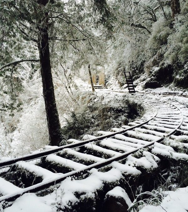 宜蘭太平山包車旅遊-太平山包車-宜蘭太平山包車旅遊推薦 