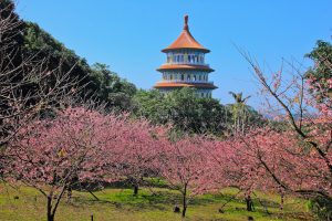 淡水天元宮包車旅遊