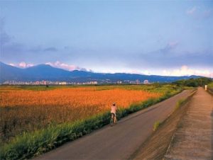 關渡八里左岸包車旅遊