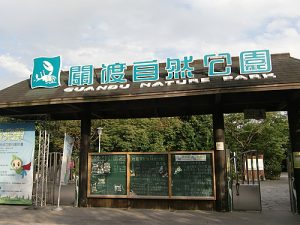 關渡廟包車旅遊,關渡八里左岸包車旅遊,關渡包車旅遊,關渡自然公園包車旅遊,台北藝術大學,關渡橋頭包車旅遊