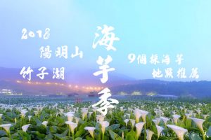 陽明山包車一日遊,陽明山包車旅遊,陽明山景點包車,陽明山包車旅遊景點,陽明山包車旅遊風景,陽明山旅遊包車推薦,台北陽明山包車推薦