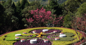 陽明山包車旅遊陽明山花鐘廣場