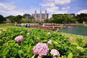 台中包車自由行,台中豐原包車,台中花卉包車推薦,台中旅遊包車,台中豐原旅遊包車,豐原葫蘆墩公園包車,台中包車香草迷宮