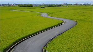 宜蘭包車│宜蘭包車景點│宜蘭旅遊景點推薦 宜蘭三奇伯朗大道
