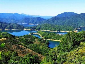 石碇千島湖包車,宜蘭清水地熱包車,綠色隧道包車,北門海線包車旅遊,奇美博物館包車,林百貨包車,苗栗烏嘎彥竹林包車,春節包車旅遊,春節包車旅遊景點,彰化大佛天空步道包車,花蓮錐麓古道包車,花蓮佐倉步道包車,台東縱谷線包車,花蓮大農大富包車,宜蘭包車,包車,宜蘭包車推薦