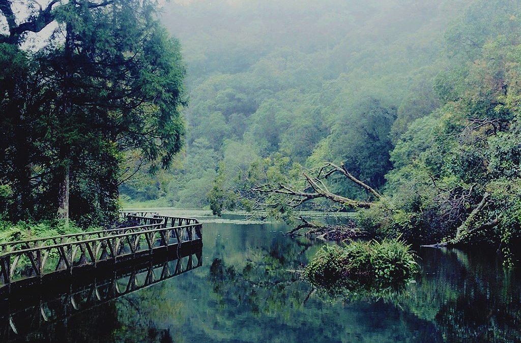 宜蘭包車旅遊、宜蘭包車景點、福山植物園